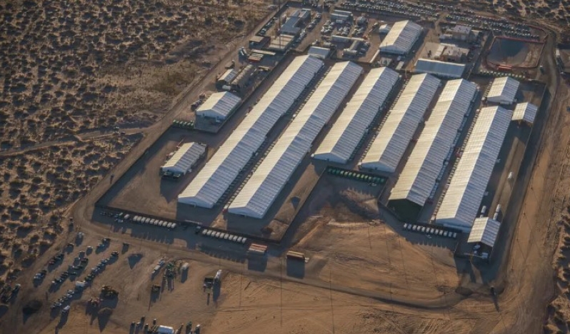 Amerikan göçmen polisinin üçüncü cinayeti