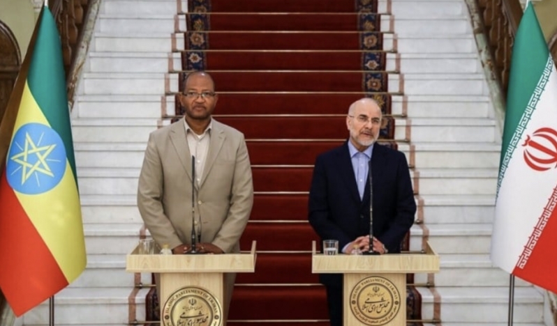 BRICS ve Afrika Boynuzu İran-Etiyopya ilişkilerini derinleştirecek