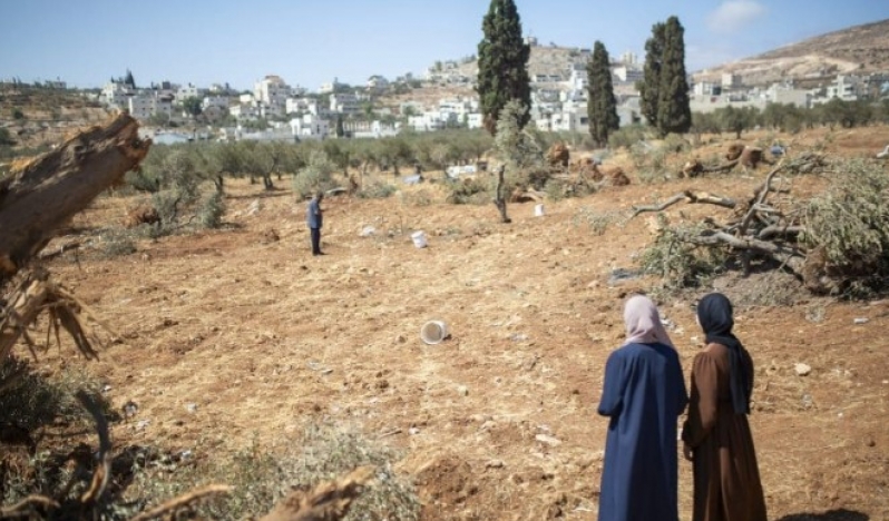 Filistin kırsalı haritadan siliniyor