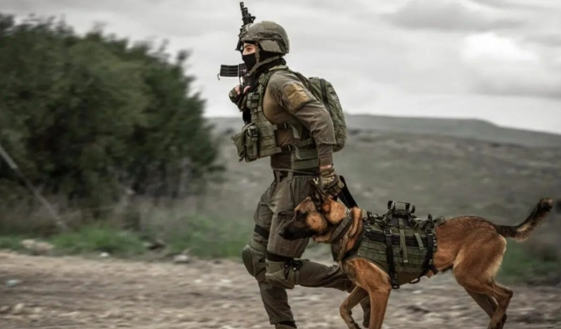 İsrail, Avrupalı köpeklerle savaş suçu işliyor