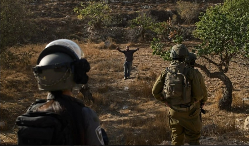 İsrail’den Batı Şeria’da tarıma müdahale