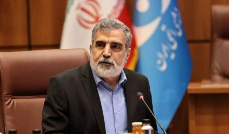 Kemalvendi: Yerli nükleer bilgimiz yok edilemez