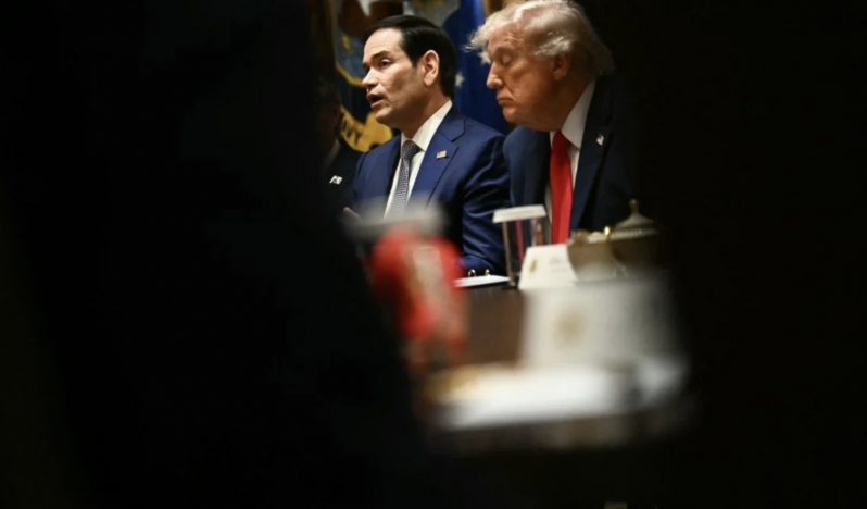 The Hill: Trump