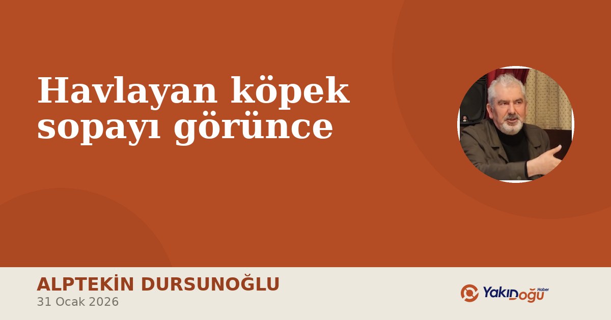 Havlayan köpek sopayı görünce